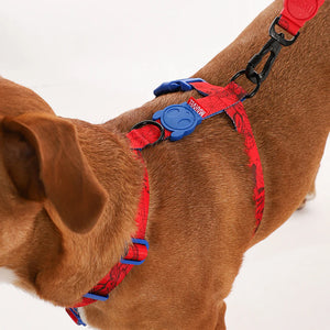 Arnes Para Perro Zeedog Marvel Spider Man