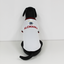 Camisola para Perro Mundial 2026 Alemania