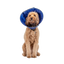 Collar Isabelino Para Perro Calm Paws Con Disco Calmante