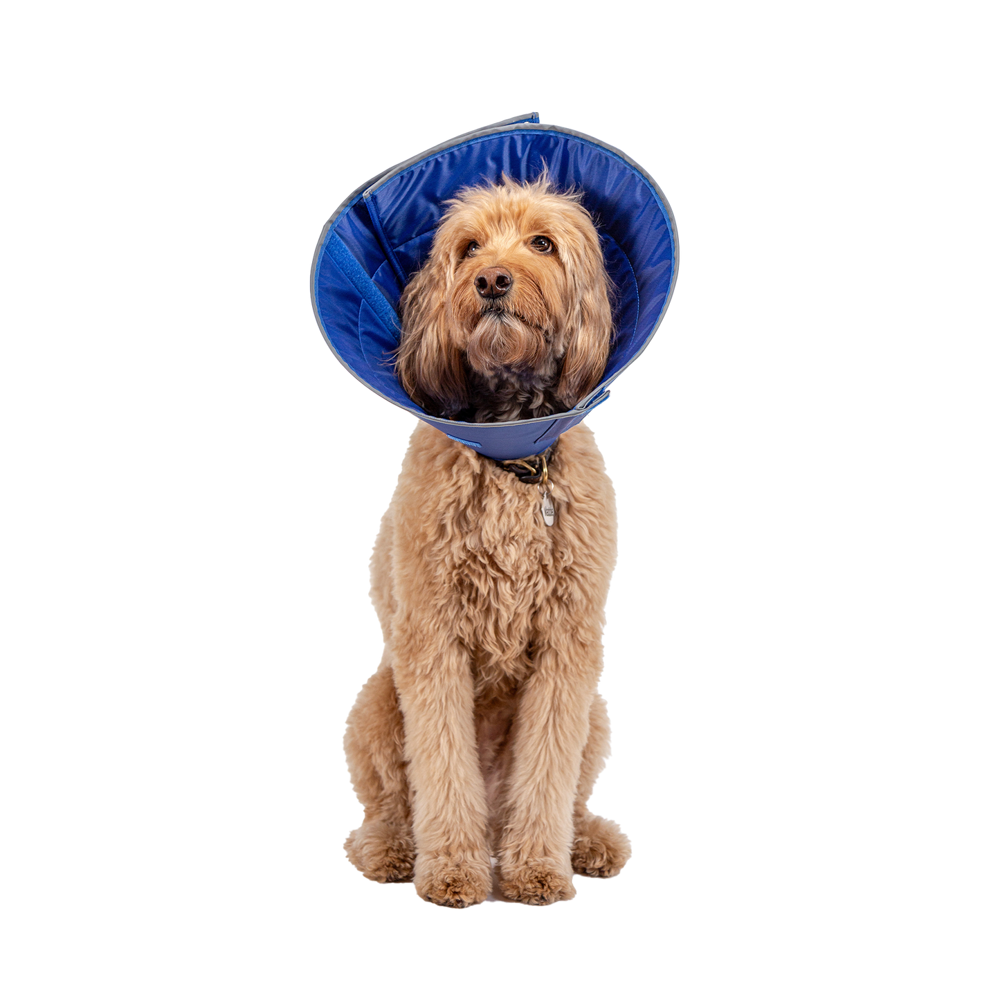 Collar Isabelino Para Perro Calm Paws Con Disco Calmante