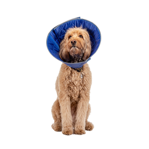 Collar Isabelino Para Perro Calm Paws Con Disco Calmante