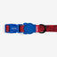 Collar Para Perro Zeedog Marvel Spider-Man