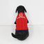 Camisola para Perro Mundial 2026 España
