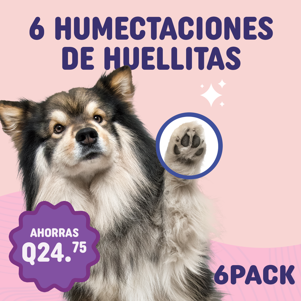 Servicio Hidratación de Huellitas 6 Pack