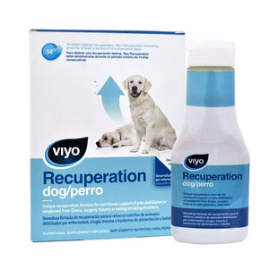 Medicamento para Perro Viyo Recuperation