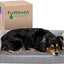 Cama Furhaven Sofa Plush and Suede