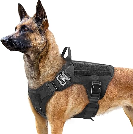 Arnés para Perro Bharnlrg Boss Tactical