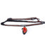Conjunto para Correr M-pets Hikking