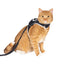 Kit Arness y Correa Para Gato Travel Cat Stray X Limited Edition