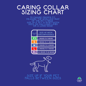 Collar Isabelino Para Perro Calm Paws Con Disco Calmante