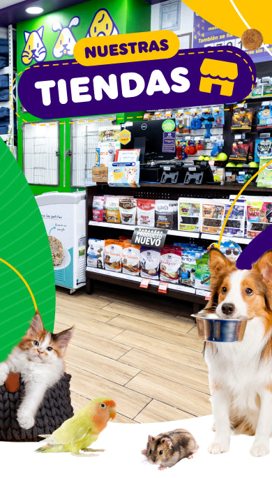 imagen principal de tienda nueva