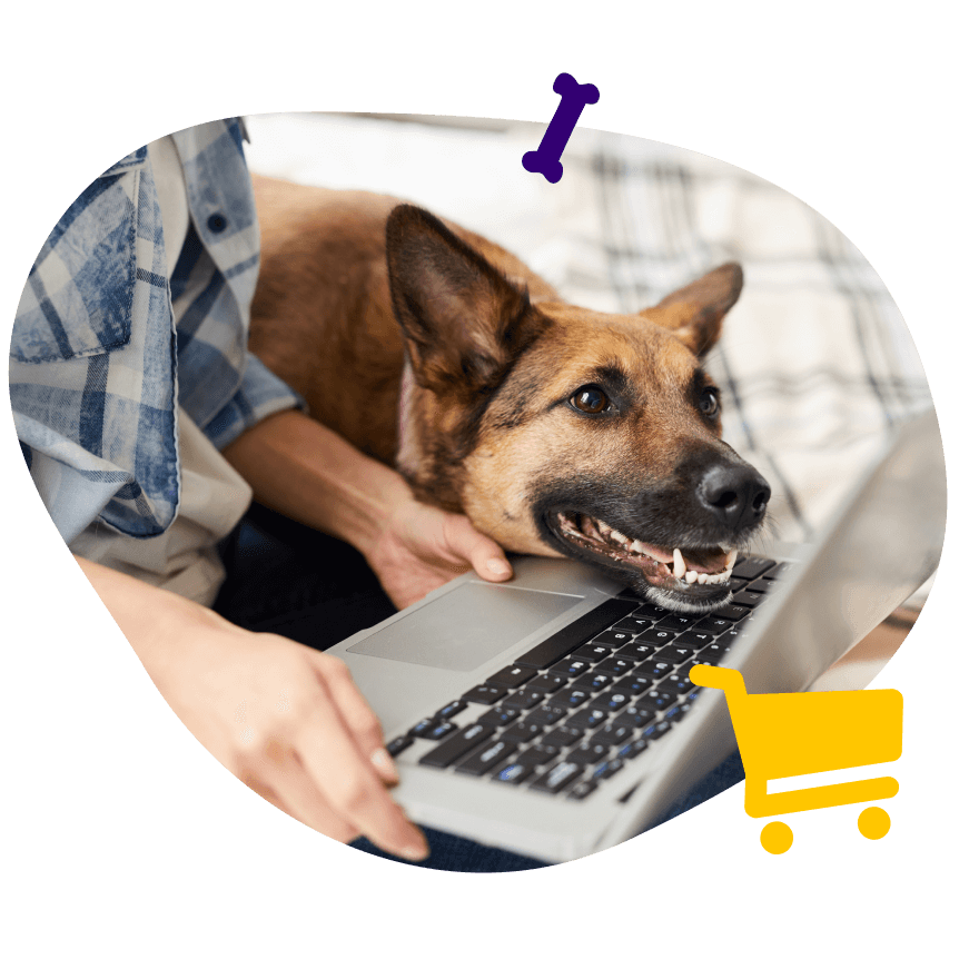 Perro y su dueño viendo laptop