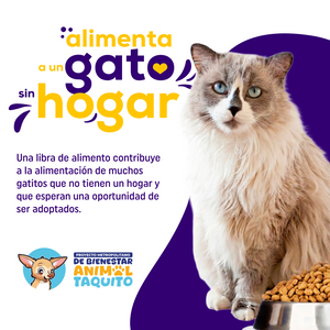 Donación Alimento con Amor - Concentrado para Gatos sin Hogar