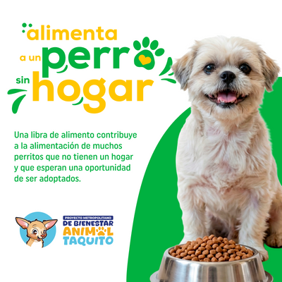 Donación Alimento con Amor - Concentrado para Perros sin Hogar