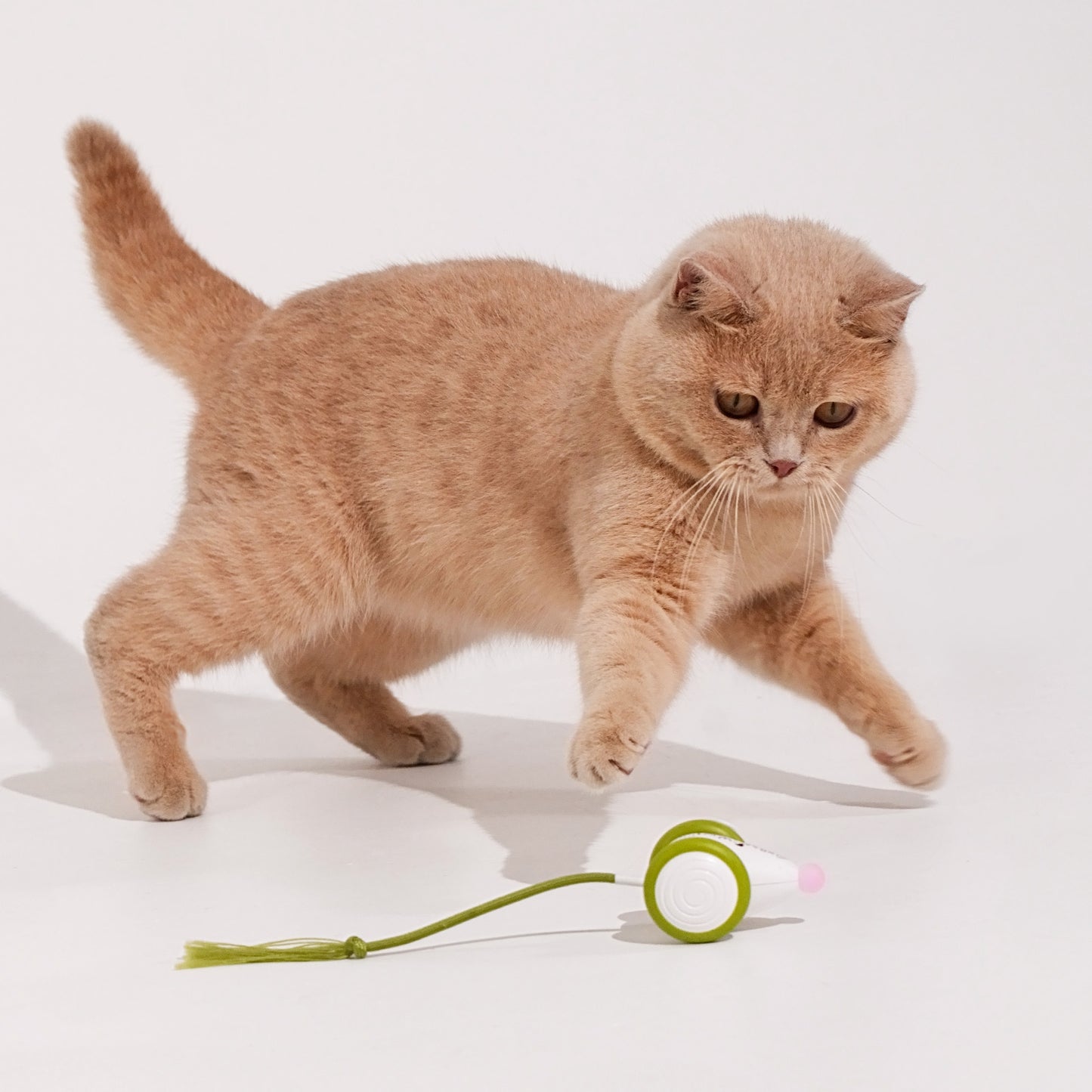 Juguete Inteligente para Gato Cheerble Mouse