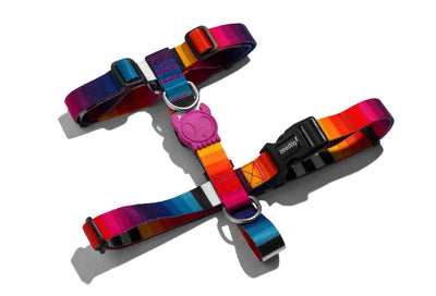 Arnes Para Perro Zeedog Prisma