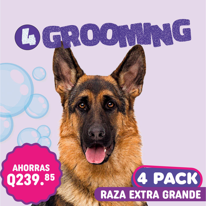 Grooming 4Pack Raza Extra Grande – Arca de Noe