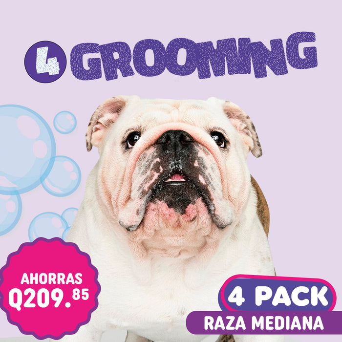 Grooming 4Pack Raza Mediana