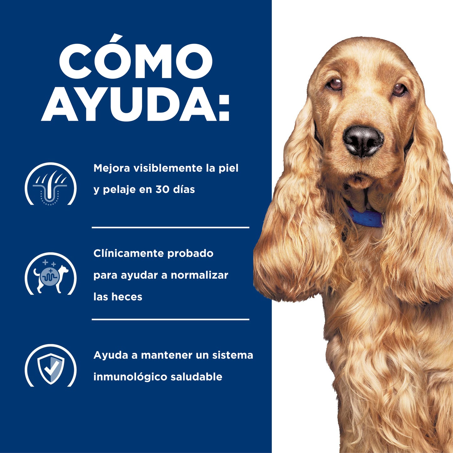 Concentrado para Perro Science Diet Medicado Z/D