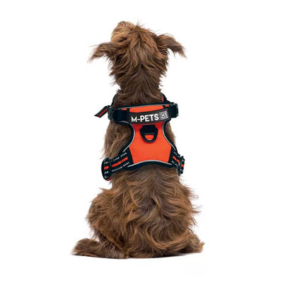 Arnés M-Pets Hiking Triangle - Orange Black