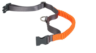 Penn Plax Bungee Collar