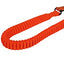 Correa Combinada Penn Plax Bungee Combo Belt + Collar