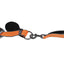 Correa Combinada Penn Plax Bungee Combo Belt + Collar