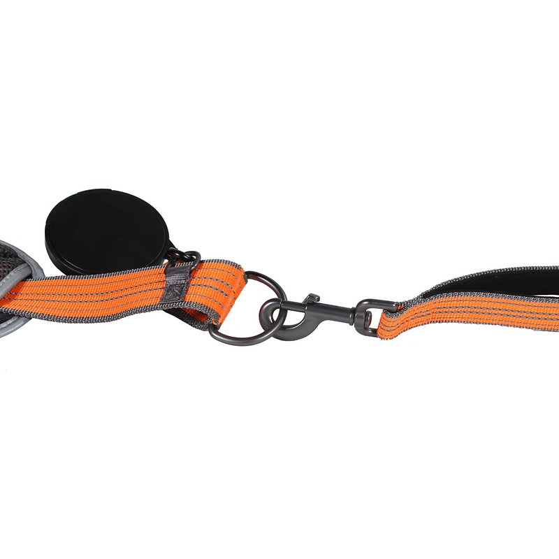 Correa Combinada Penn Plax Bungee Combo Belt + Collar
