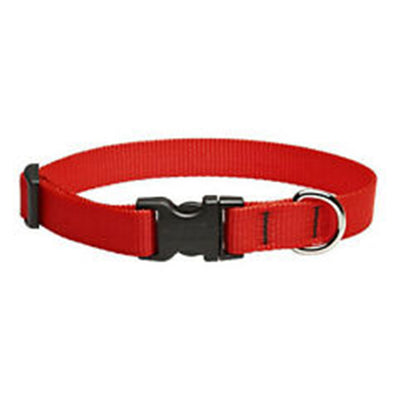 Collar para Perro Lupine Red