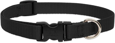 Collar Lupine Black