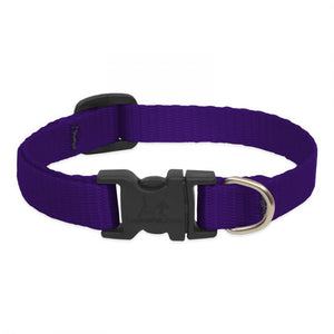 Collar Lupine Purple
