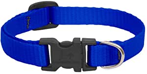 Collar Lupine Blue