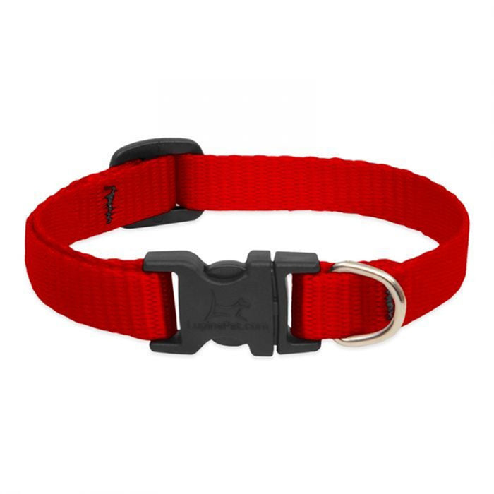 Collar Lupine Red