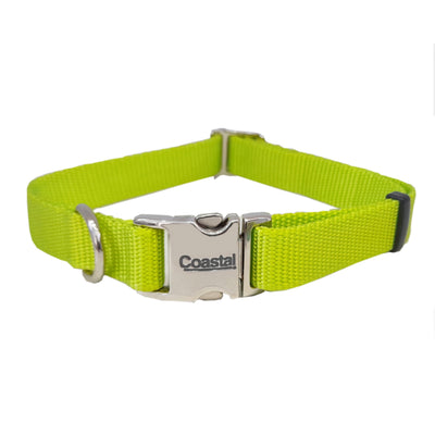 Collar Coastal Metal Buckle Lime