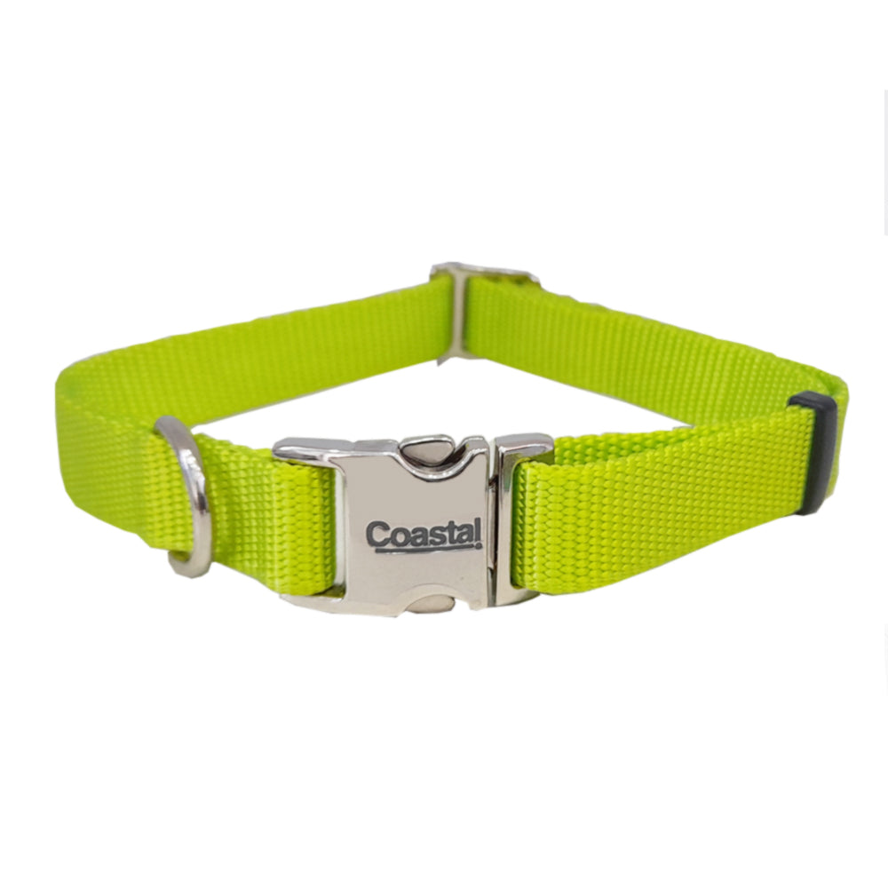 Collar Coastal Metal Buckle Lime – Arca de Noe