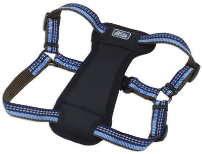 Arnés Coastal Reflective Padded Sapphire