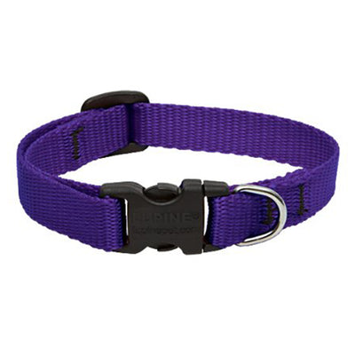 Collar Lupine Purple