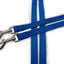 Correa Doble Furhaven Azul