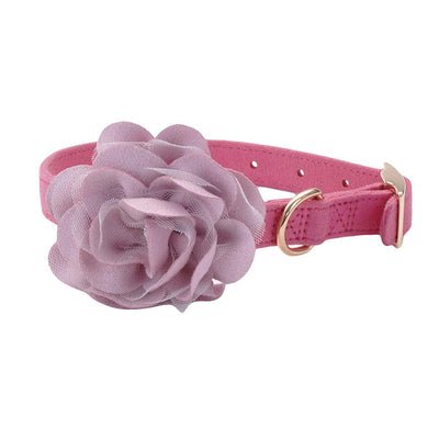 Collar Coastal Accent Microfiber Posh Pink with Flower