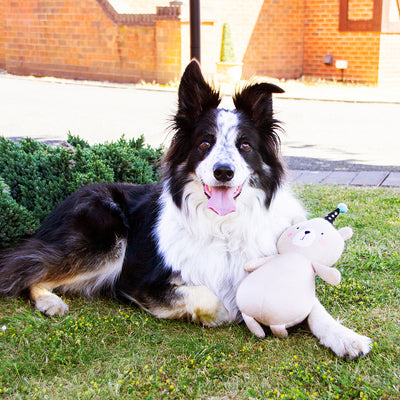 Juguete Roosewood Pippa Party Beat Beige