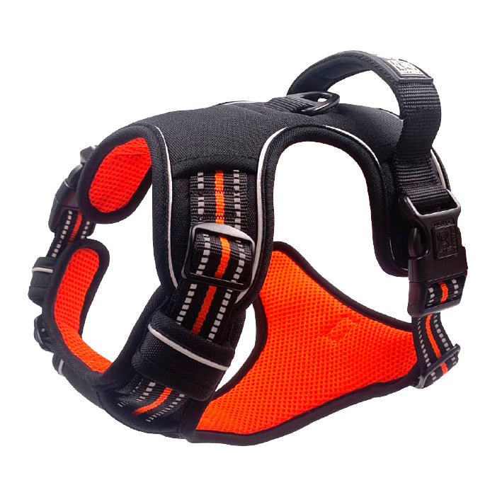 Arnés M-Pets Hiking
