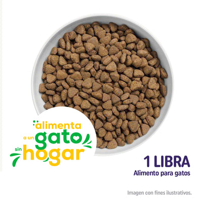 Donación Alimento con Amor - Concentrado para Gatos sin Hogar