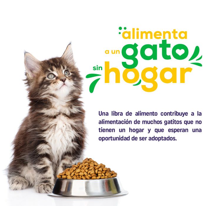 Donación Alimento con Amor - Concentrado para Gatos sin Hogar