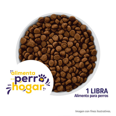 Donación Alimento con Amor - Concentrado para Perros sin Hogar