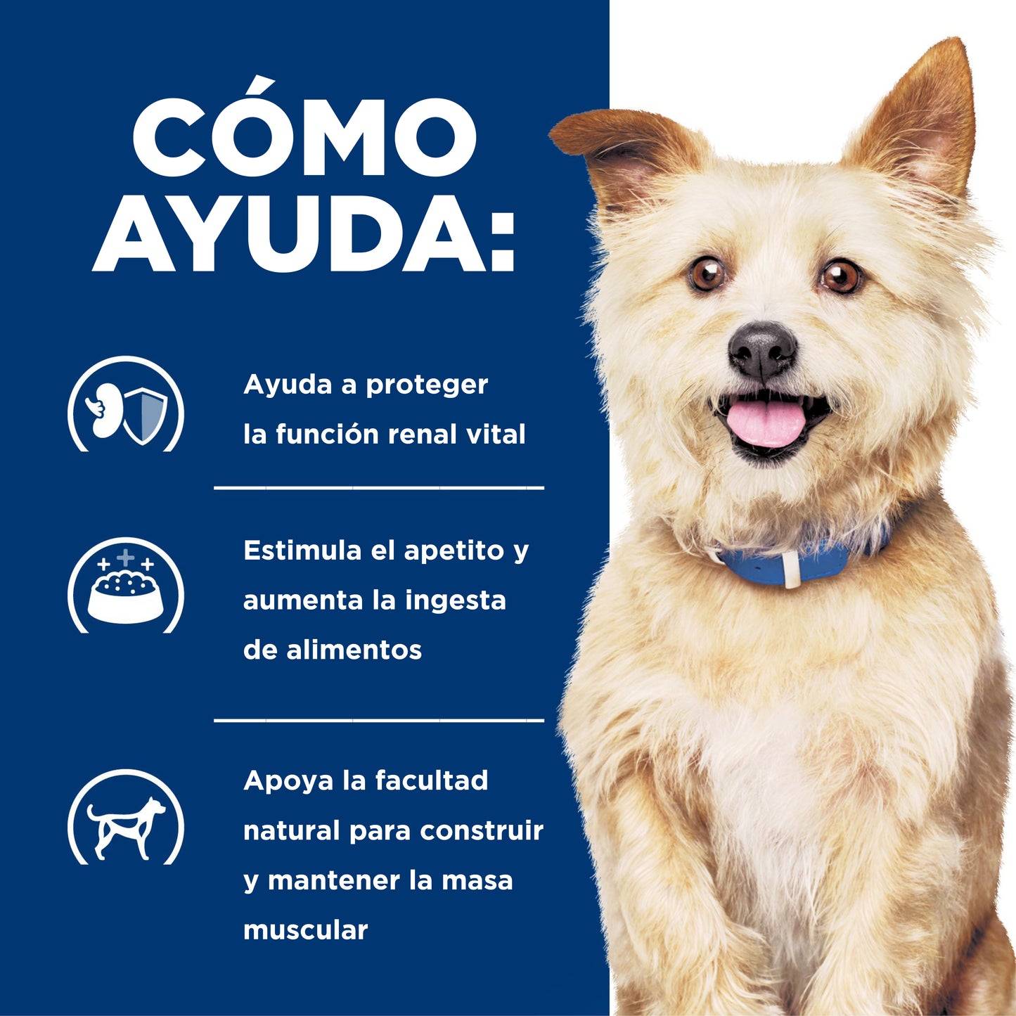 Concentrado para Perro Science Diet Medicado k/d