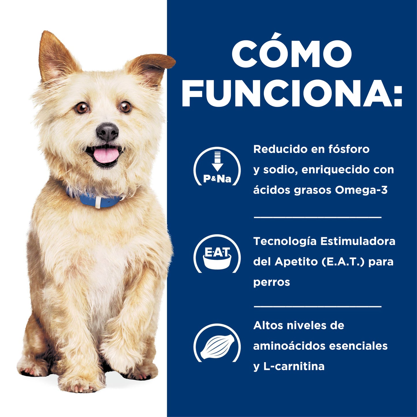 Concentrado para Perro Science Diet Medicado k/d