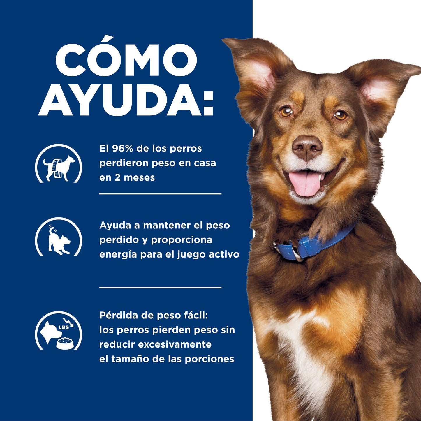 Concentrado para Perro Science Diet Medicado Metabolic Weight Managment
