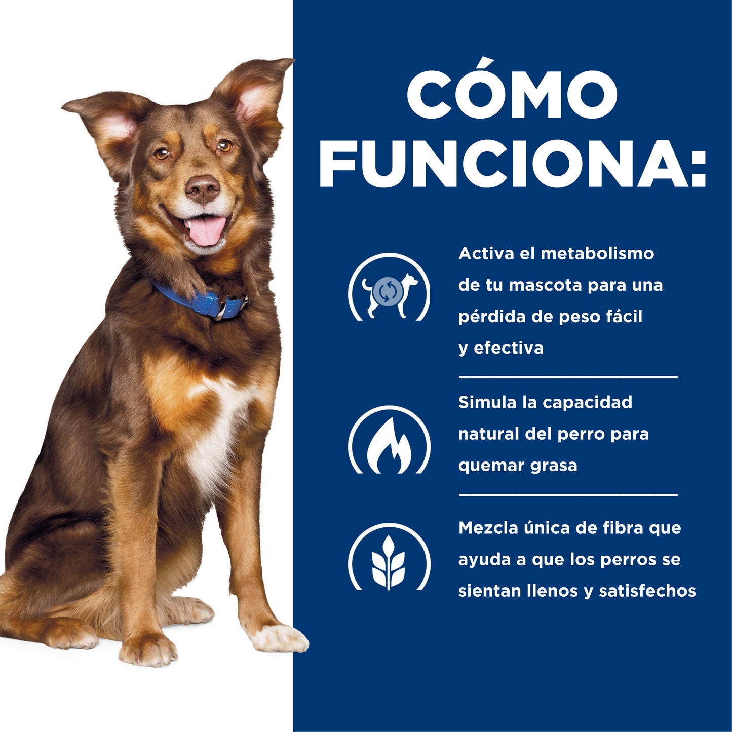 Concentrado para Perro Science Diet Medicado Metabolic Weight Managment
