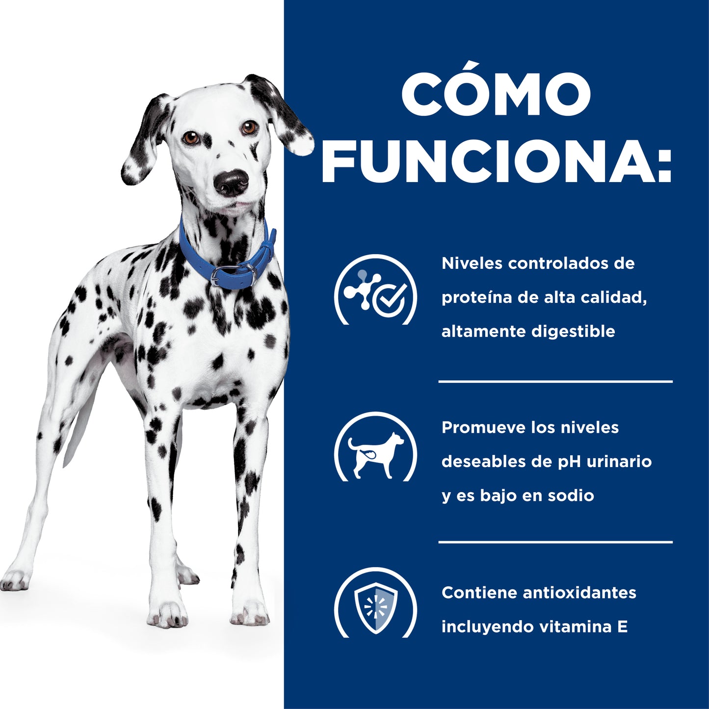 Concentrado para Perro Science Diet Medicado u/d