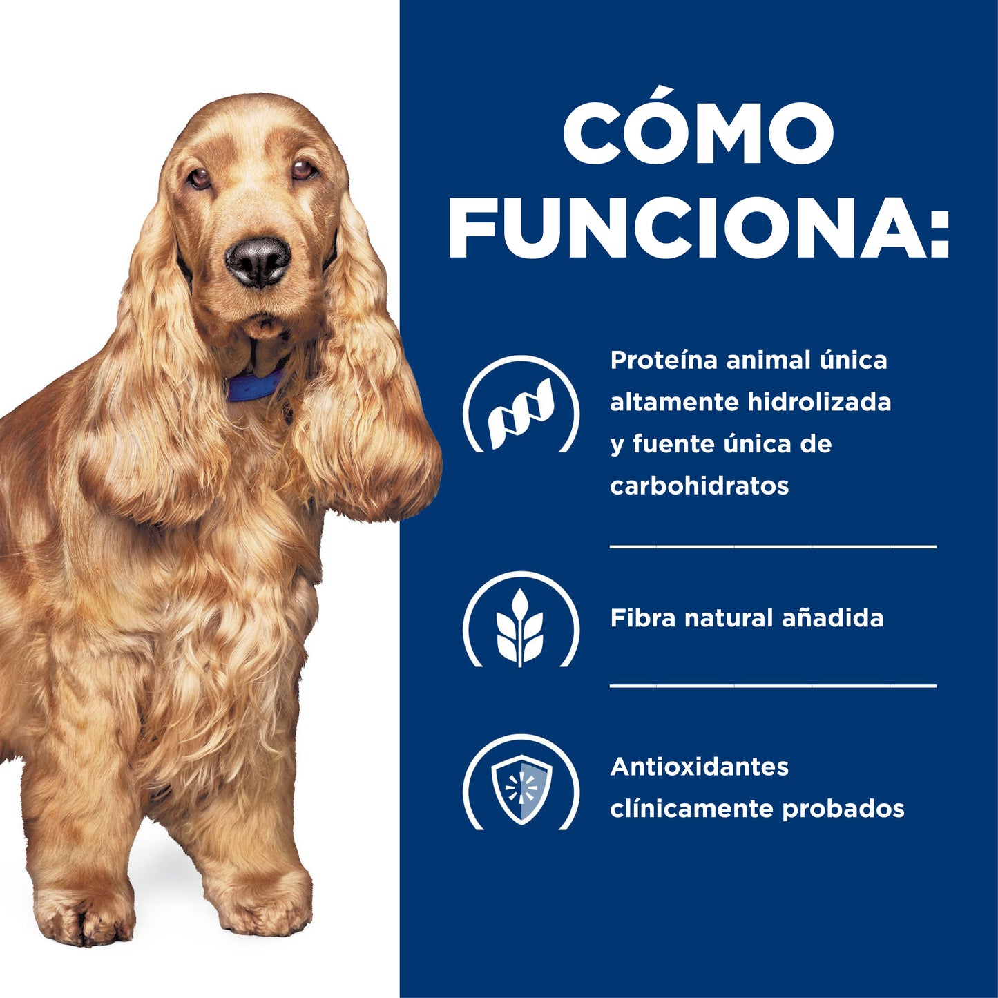 Concentrado para Perro Science Diet Medicado Z/D